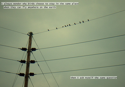 Fly Photo credit:creampuff.tumblr.com