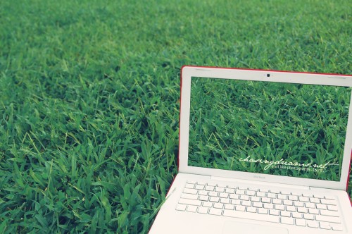 Working from Everywhere! Working from Everywhere!