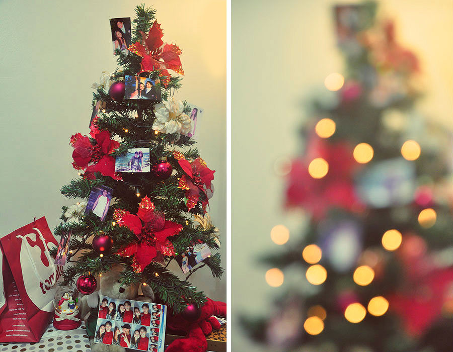 Our Christmas Tree