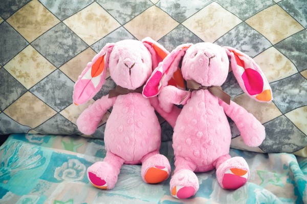 Spinkie Bunnies